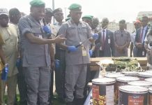 ANTI- SMUGGLING WAR: Apapa Customs Intercepts 16 Containers of Illicit Drugs, ammunition, Others